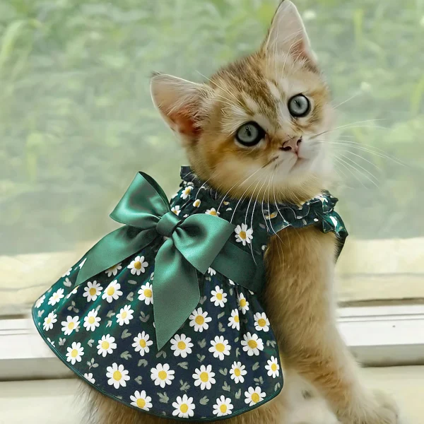Cyan Floral Sleeveless Cat & Dog Dress